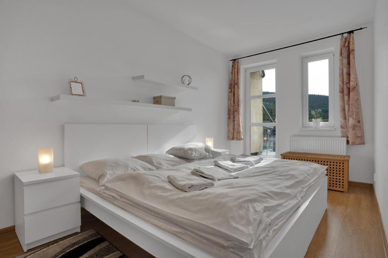 Horsky Apartman Klinovec 4 Loučná pod Klínovcem エクステリア 写真